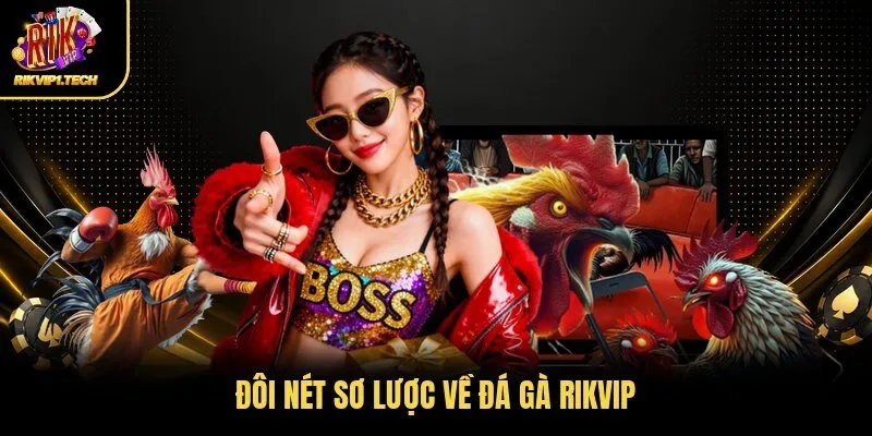Đôi nét sơ lược về đá gà RIKVIP
