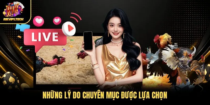 Những lý do chuyên mục được lựa chọn
